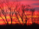 Red sky in the morning by thickchick, Photography->Sunset/Rise gallery