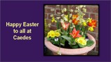 Happy Easter by TheWhisperer, Holidays gallery