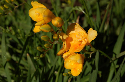 Click here to view at full resolution.