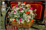Gig Foofies 151 by corngrowth, photography->flowers gallery