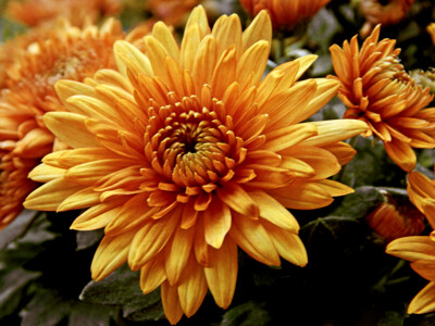 Click here to view at full resolution.