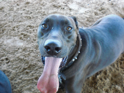 Click here to view at full resolution.