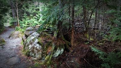 Click here to view at full resolution.