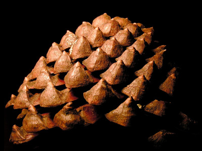 Click here to view at full resolution.