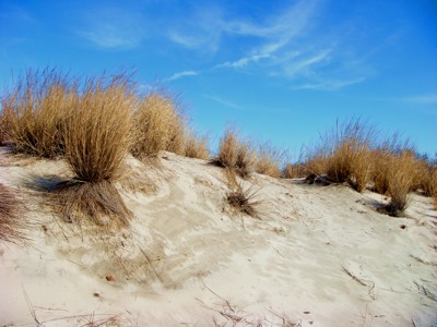 Click here to view at full resolution.