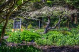 Let's Sit Under The Apple Tree by gr8fulted, photography->gardens gallery