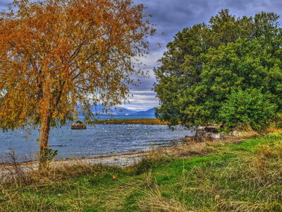 Click here to view at full resolution.