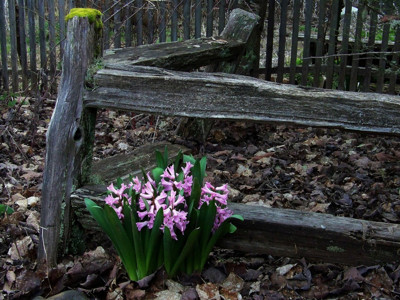 Click here to view at full resolution.