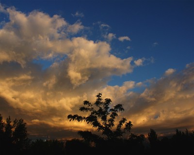 Click here to view at full resolution.