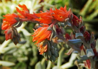 Click here to view at full resolution.