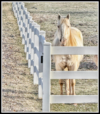 Click here to view at full resolution.