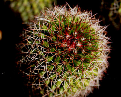 Click here to view at full resolution.