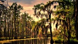 A Lou-z-ana Bayou - Revised by 100k_xle, photography->landscape gallery