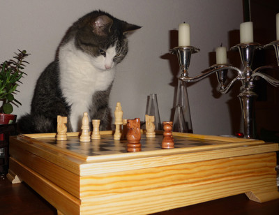 Click here to view at full resolution.