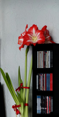 Click here to view at full resolution.