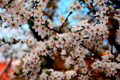 Click here to view at full resolution.