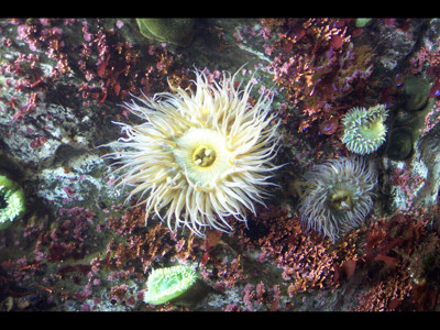 Click here to view at full resolution.