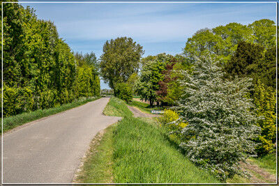 Click here to view at full resolution.