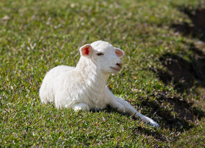 Click here to view at full resolution.