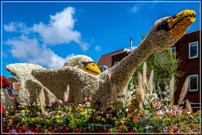 Click here to view at full resolution.