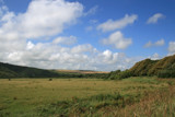 Sussex countryside by krt, photography->landscape gallery