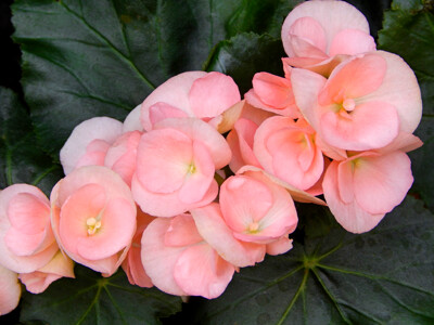 Click here to view at full resolution.