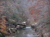 Sipsey River 1 by bfrank, Photography->Landscape gallery