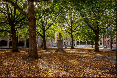 Click here to view at full resolution.