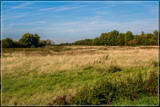 Dutch 'Prairie' by corngrowth, photography->landscape gallery