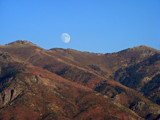 Rising Fall Moon by hirschikiss22, photography->nature gallery