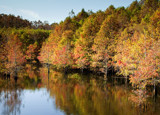 Chicot State Park #3 by PatAndre, Photography->Water gallery