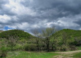 Together by koca, photography->landscape gallery