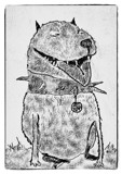 Happy Pooch by bfrank, illustrations gallery