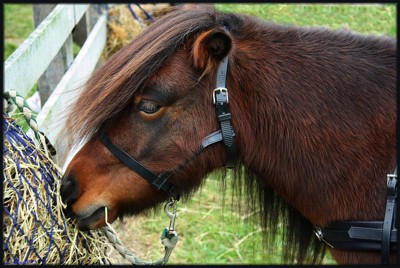 Click here to view at full resolution.