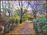 Another season down the lane. by ronsaunders47, Photography->Landscape gallery