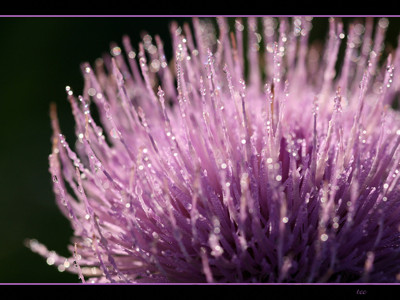 Click here to view at full resolution.