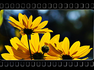 Click here to view at full resolution.