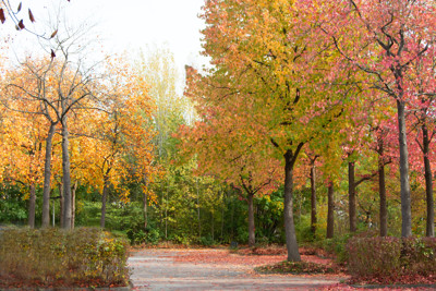 Click here to view at full resolution.