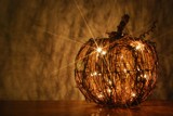 Happy Halloween Season by ShannonChristine, photography->still life gallery