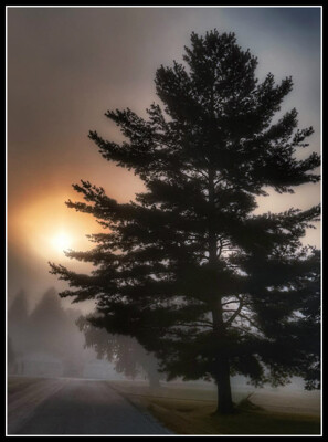 Click here to view at full resolution.