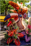 2026 Flower Parade Haarlem, 03 by corngrowth, photography->flowers gallery