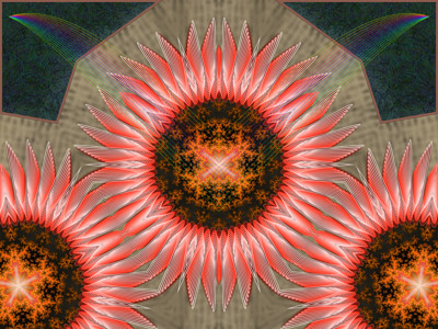 Click here to view at full resolution.