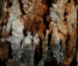 BrownBark by aljahael, Photography->Manipulation gallery
