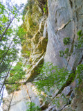 Looking Up by Pistos, photography->nature gallery