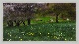 Spring Shows Her Face by LynEve, photography->landscape gallery