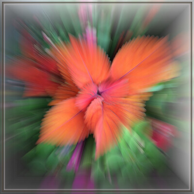 Click here to view at full resolution.