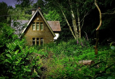 Click here to view at full resolution.