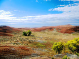 Kansas Prarie 3 by billyoneshot, Photography->Landscape gallery