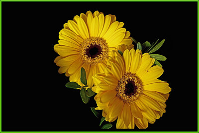 Click here to view at full resolution.
