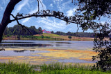 Barn With A View by PatAndre, photography->shorelines gallery